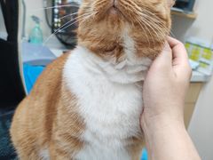 -芭比堂动物医院·CT·微创中心(新顺分院)