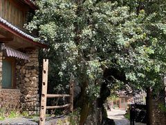 -玉湖村