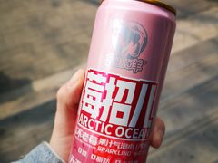 北冰洋莓招儿-百年义利(东直门店)