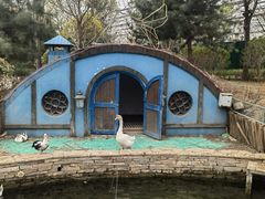 -南宫五洲植物乐园