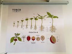 大堂-Torch Coffee 炬点咖啡