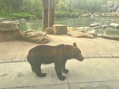 -北京野生动物园