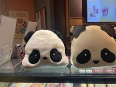 熊猫包-COSTA COFFEE(西直门店)