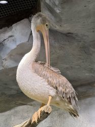 -Zoolung Zoolung动物主题公园(海信广场店)