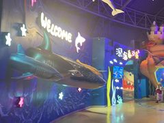 -烟台海昌鲸鲨海洋公园