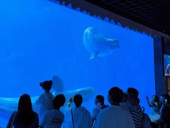 -多彩贵州城极地海洋世界