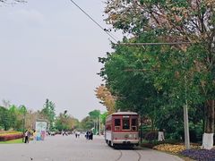 -安仁古镇