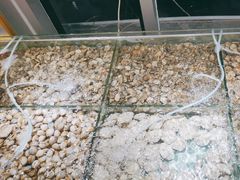 -四海蒸鲜蒸汽海鲜自助(北戴河店)