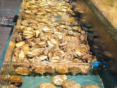 -龙宴海鲜城(经中路店)