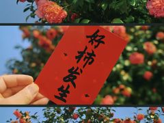 -长沙火车站(地铁站)