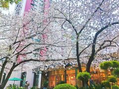 -玛格萝妮比萨屋(四平店)