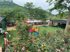 -玫瑰庄园·自助烧烤·烤全羊·团建拓展(龙泉山店)
