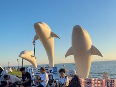 -小麦岛公园