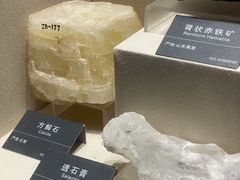-安徽省地质博物馆