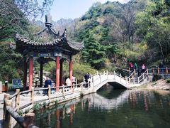 -王顺山国家森林公园