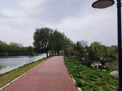 -羊亭河湿地公园