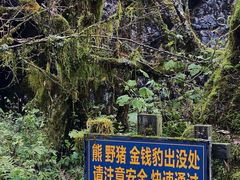 -神农架景区