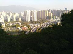 -金鸡山公园