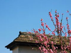 -乌山风景区