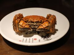 -应天大明王朝·南京菜(中山陵店)