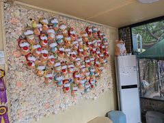 -柴犬高等学院·狗咖·柴犬售卖·宠物训练