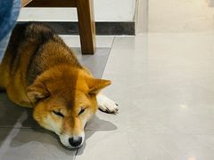 -NOTBAD 须时·咖啡馆