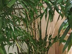 -宝燕壹号(徐汇店)