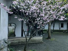 -虎丘山风景名胜区