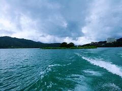 -金盆阿嬷香菇茶叶蛋(玄光店)