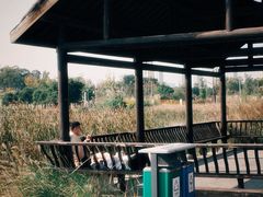 -白鹭湾湿地公园