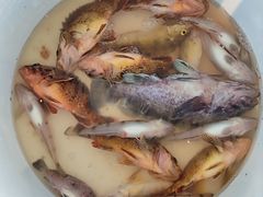 -威海国际海水浴场旅游区