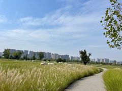 -汉长安城未央宫国家考古遗址公园