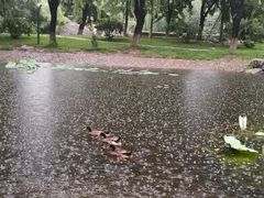 -丰台科技园生态主题公园