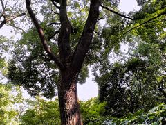 -中山公园