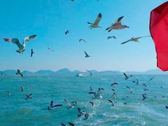 -海驴岛(荣成市)