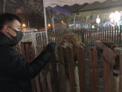 -萌宠亲子动物乐园(槐房万达店)