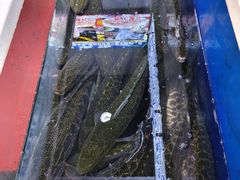 -活鱼馆(宜兴埠店)