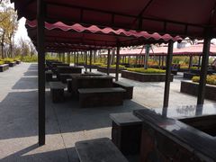 -春花秋色城市公园