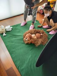 -DeerFriend童趣主题上门拍·到家·外拍摄影机构 (国贸店)