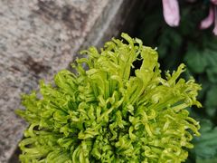 -虞山城墙