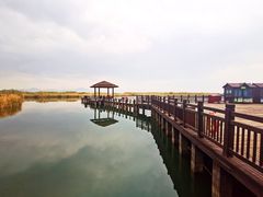 -苏州太湖湖滨国家湿地公园