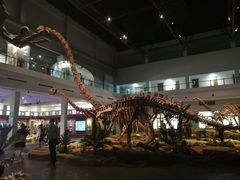 -自贡恐龙博物馆