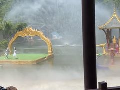 -西双版纳原始森林公园