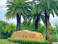 -宝安西湾红树林湿地公园