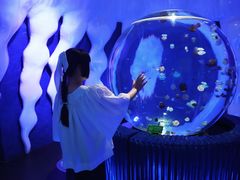 -暹罗海洋世界