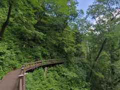 -凤凰山国家森林公园