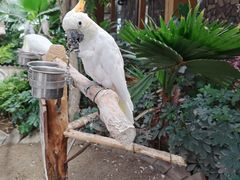 -南宫五洲植物乐园