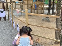 -沂蒙山旅游区云蒙景区(蒙山国家森林公园)