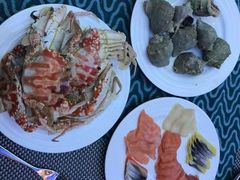 -瑞德姆美人鱼海底演艺主题餐厅(亚龙湾店)