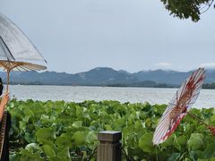 -杭州湖滨in77
